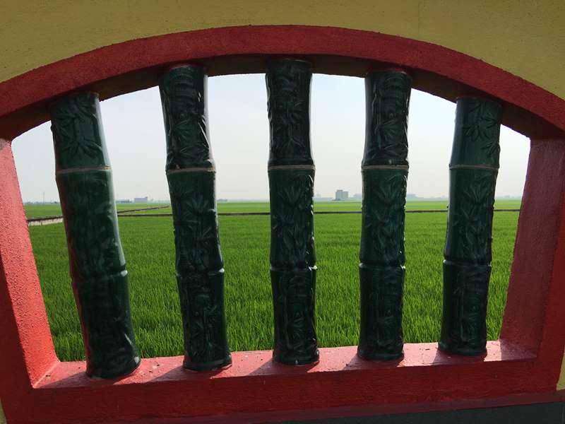 View Of Paddy Field from Nan Tian Temple