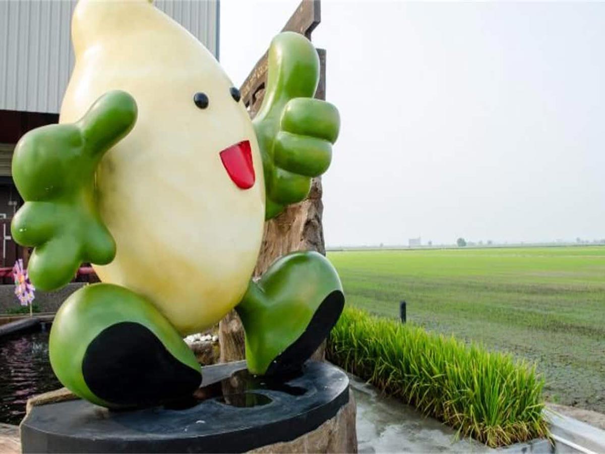 Sekinchan Paddy Gallery